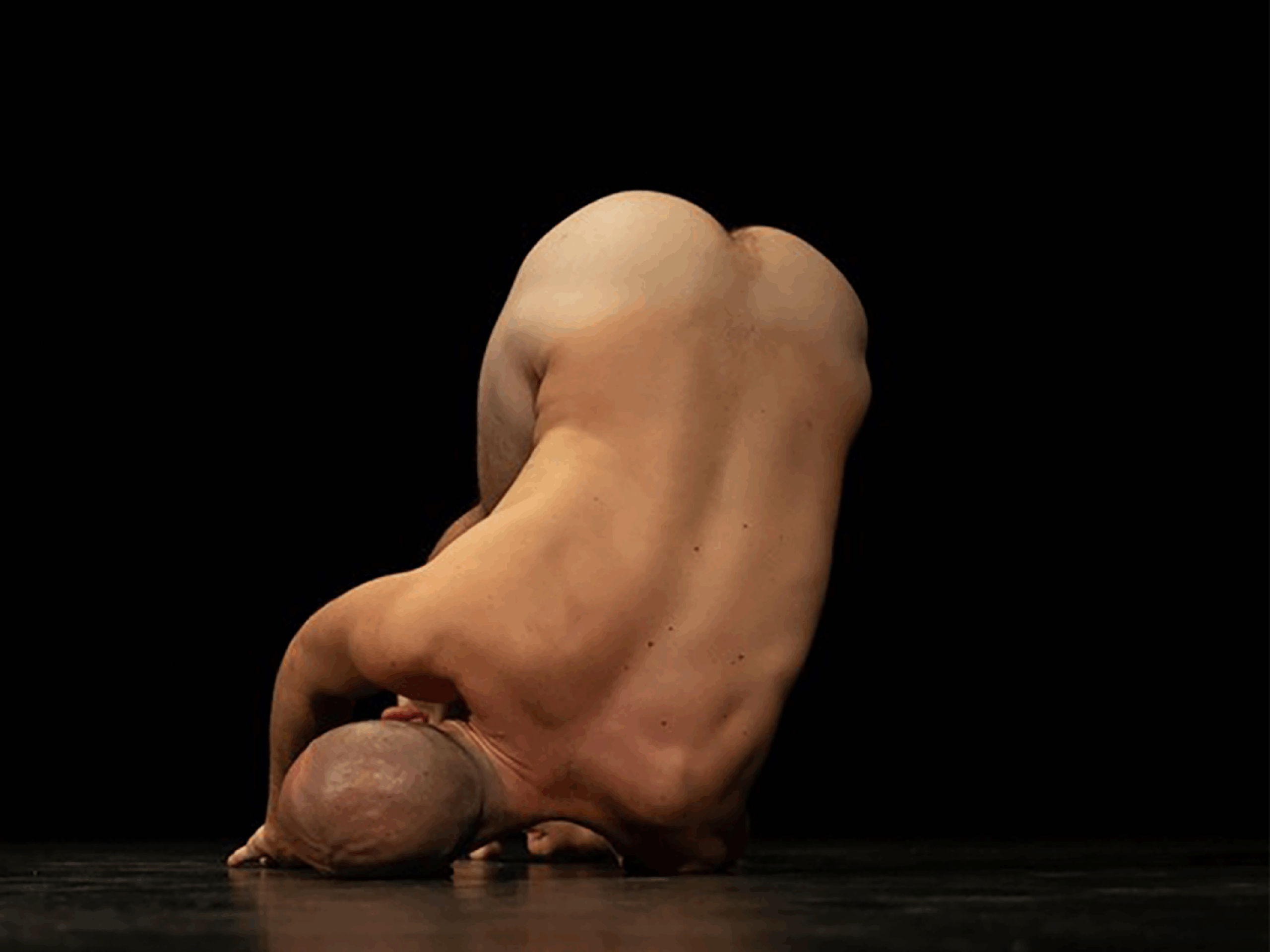 DEC 8-9: I QUERY / this body is not an answer – FABIO LIBERTI